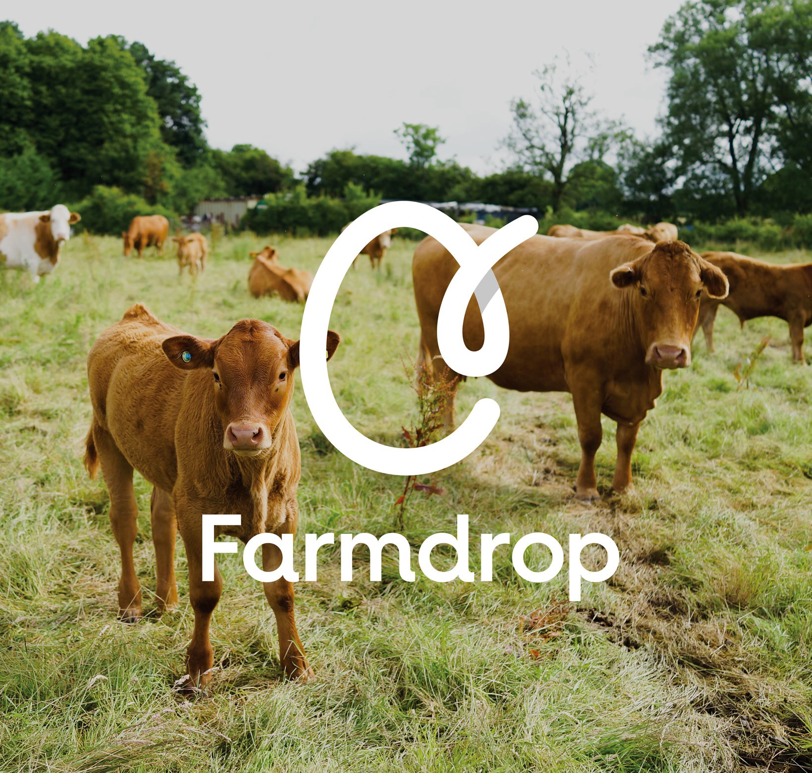 品牌形象煥新-Farmdrop